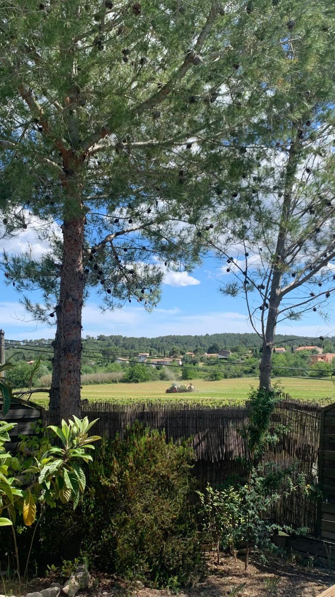 Villa En Bordure De Colline*Piscine*Clim*Netflix Les Matelles ภายนอก รูปภาพ